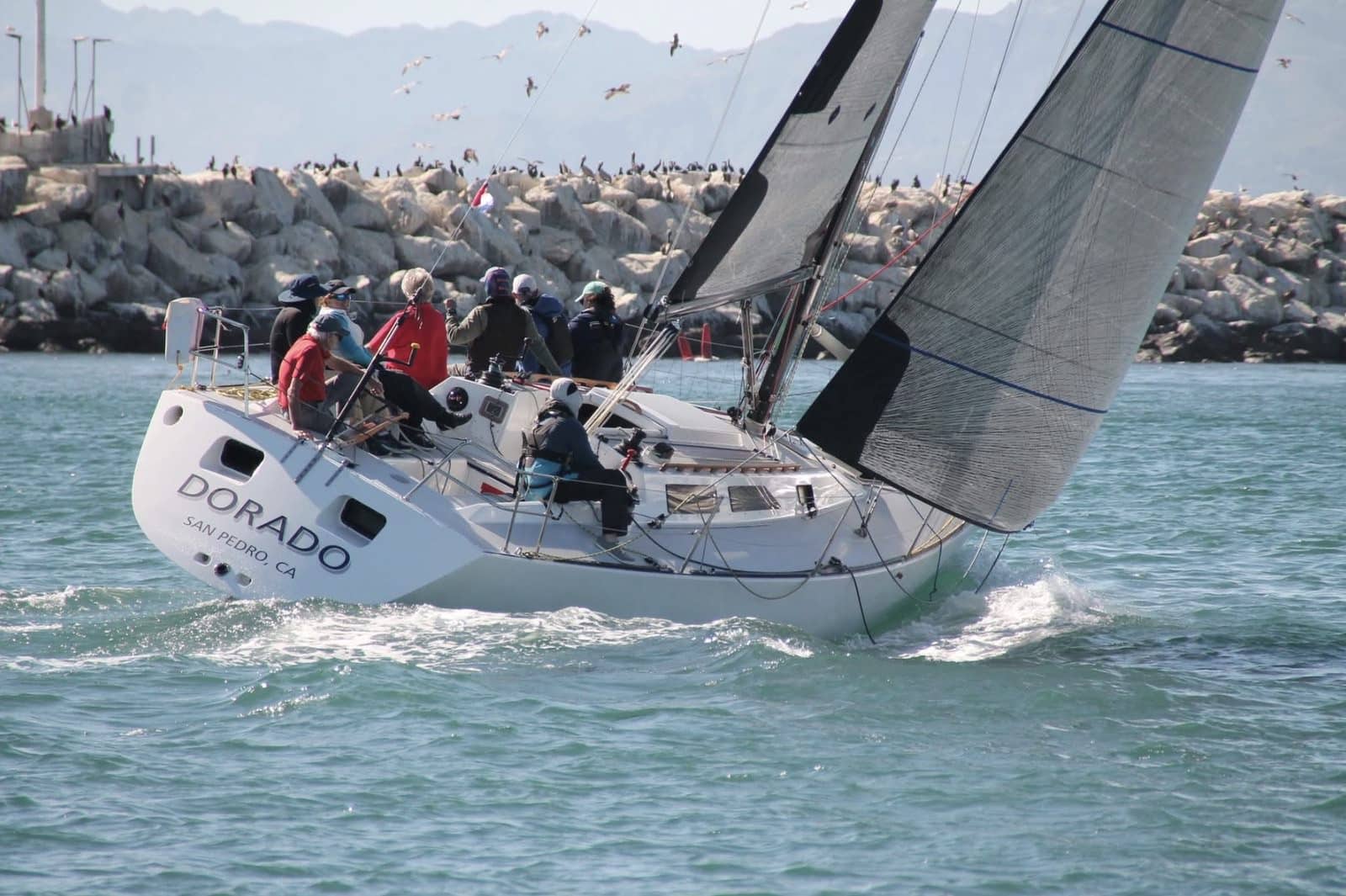 Caption: Brendan Huffman's Express 37 Dorado swept ORR 4, the Gosling's Rum Division, and the Carl Schumacher Award at this year's Pacific Cup. Photo © Margie Woods.